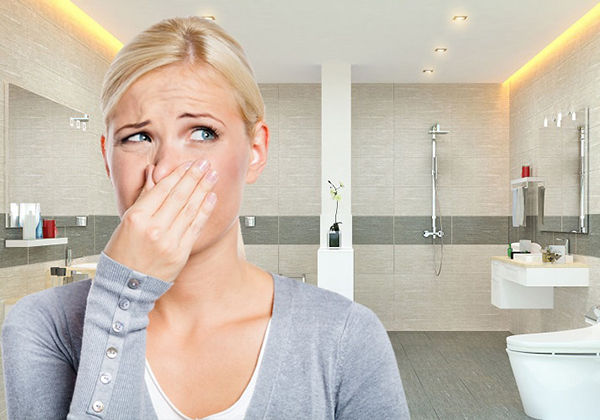Nên bắt đầu từ đâu để khử mùi nhà vệ sinh hiệu quả?